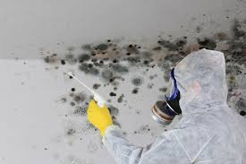 Mold Remediation for Vacation Homes in Wake Village, TX